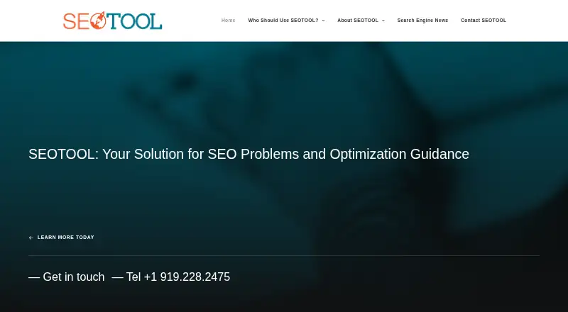 The SEOTool homepage