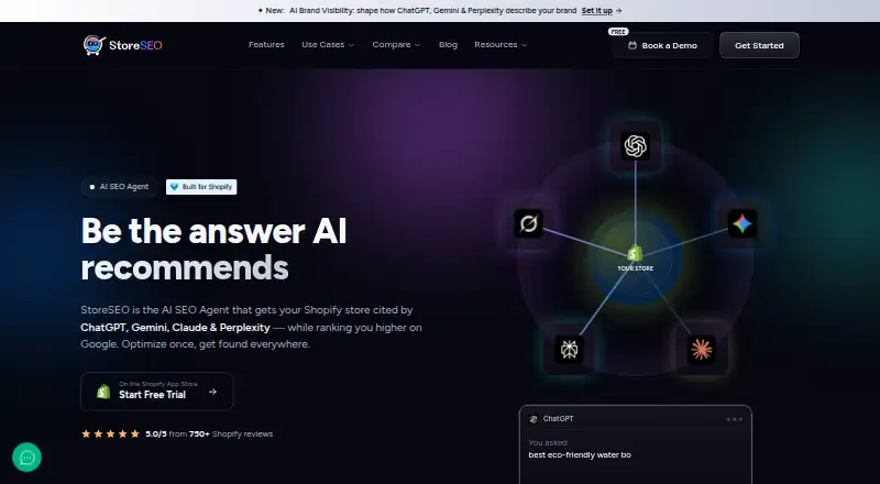 StoreSEO's website