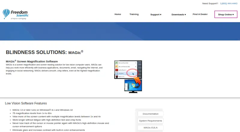 MAGic's website