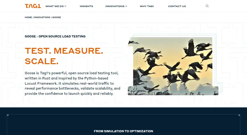 The Goose homepage