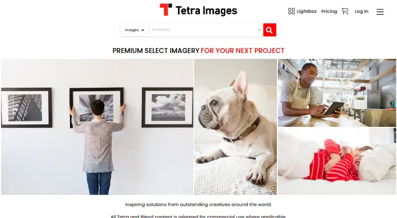 The Tetra Images homepage