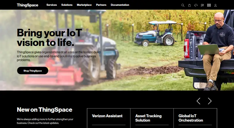 Verizon ThingSpace's website