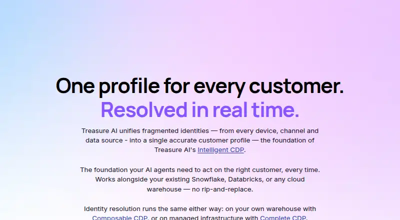Treasure AI Identity Resolution's website