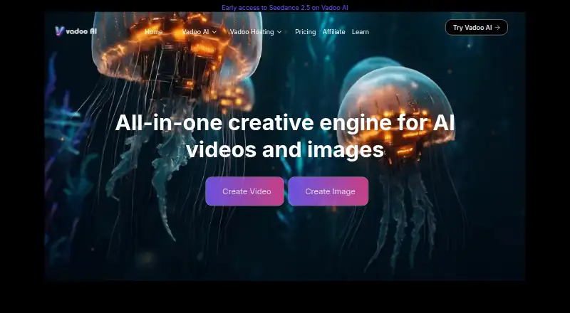 Vadoo.tv's website