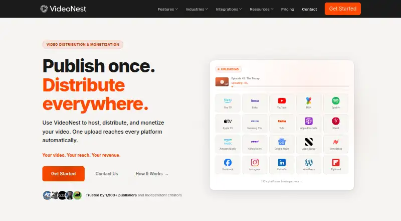 VideoNest's website