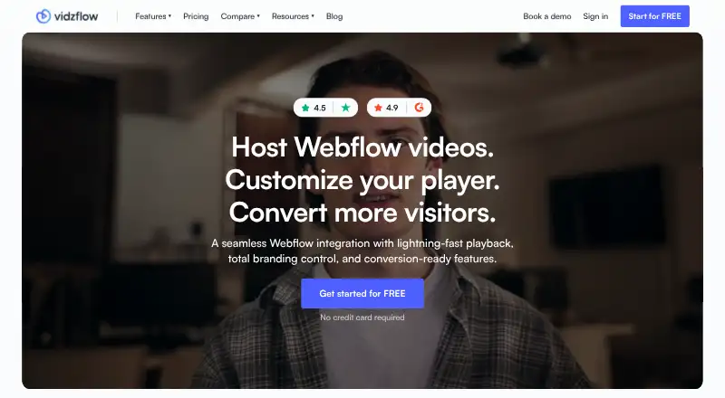 Vidzflow's website