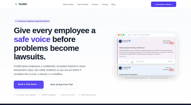 VoxWel's website