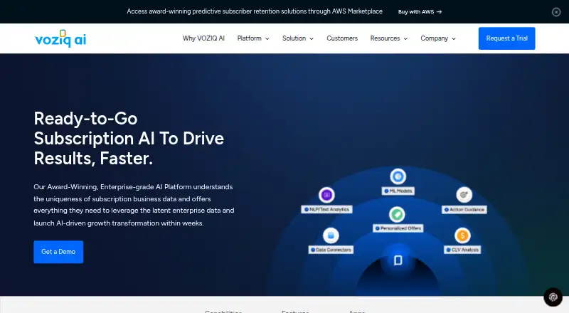 VOZIQ AI Platform's website