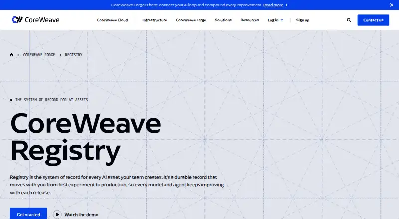 W&B Registry's website