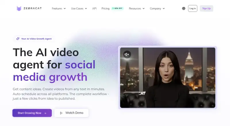 The Zebracat homepage