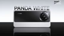 Xiaomi 14 CIVI Panda Limited Edition Launched in India